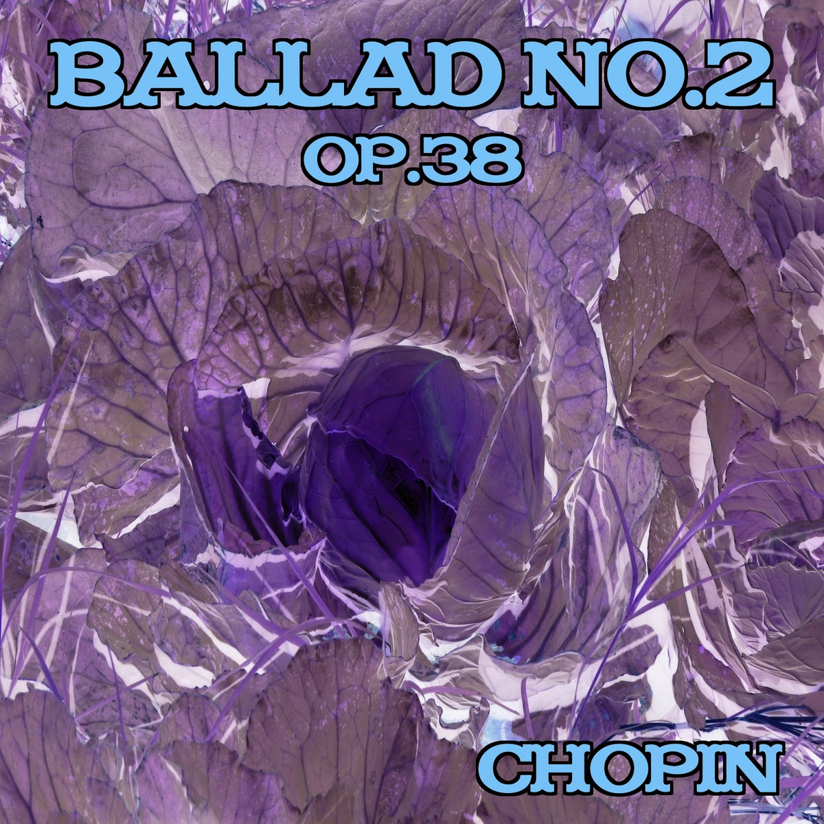 Chopin: the Essential Collection(中古品) Chopin - The Essential Collection | Chopin | Classical
