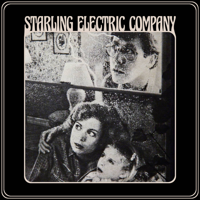 Starling Electric