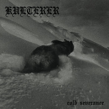Cover of Cold Severance