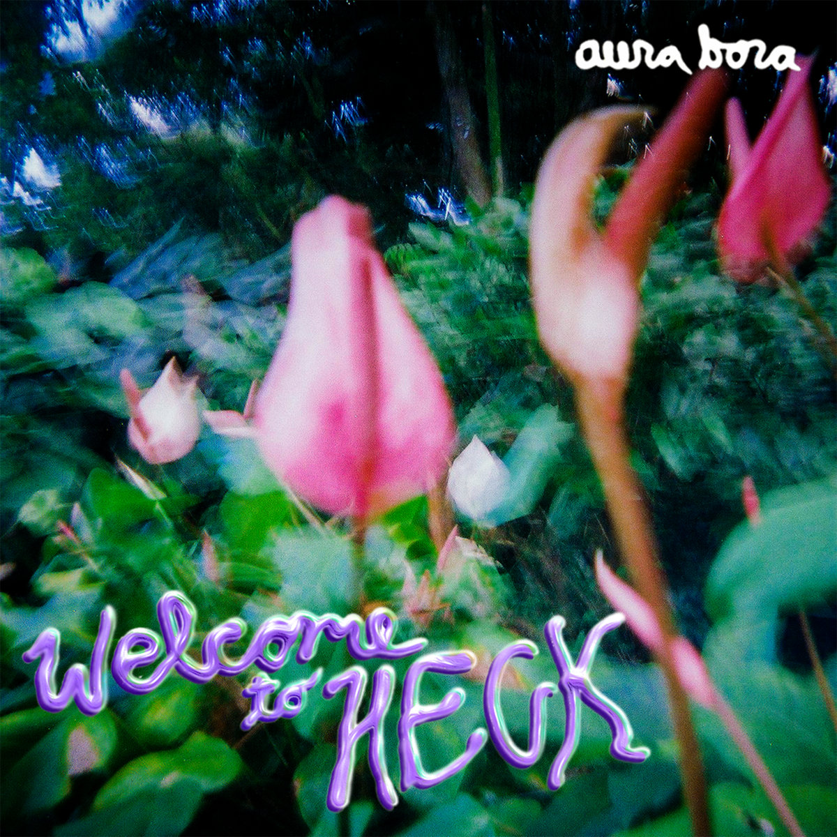 Welcome to Heck | Aura Bora