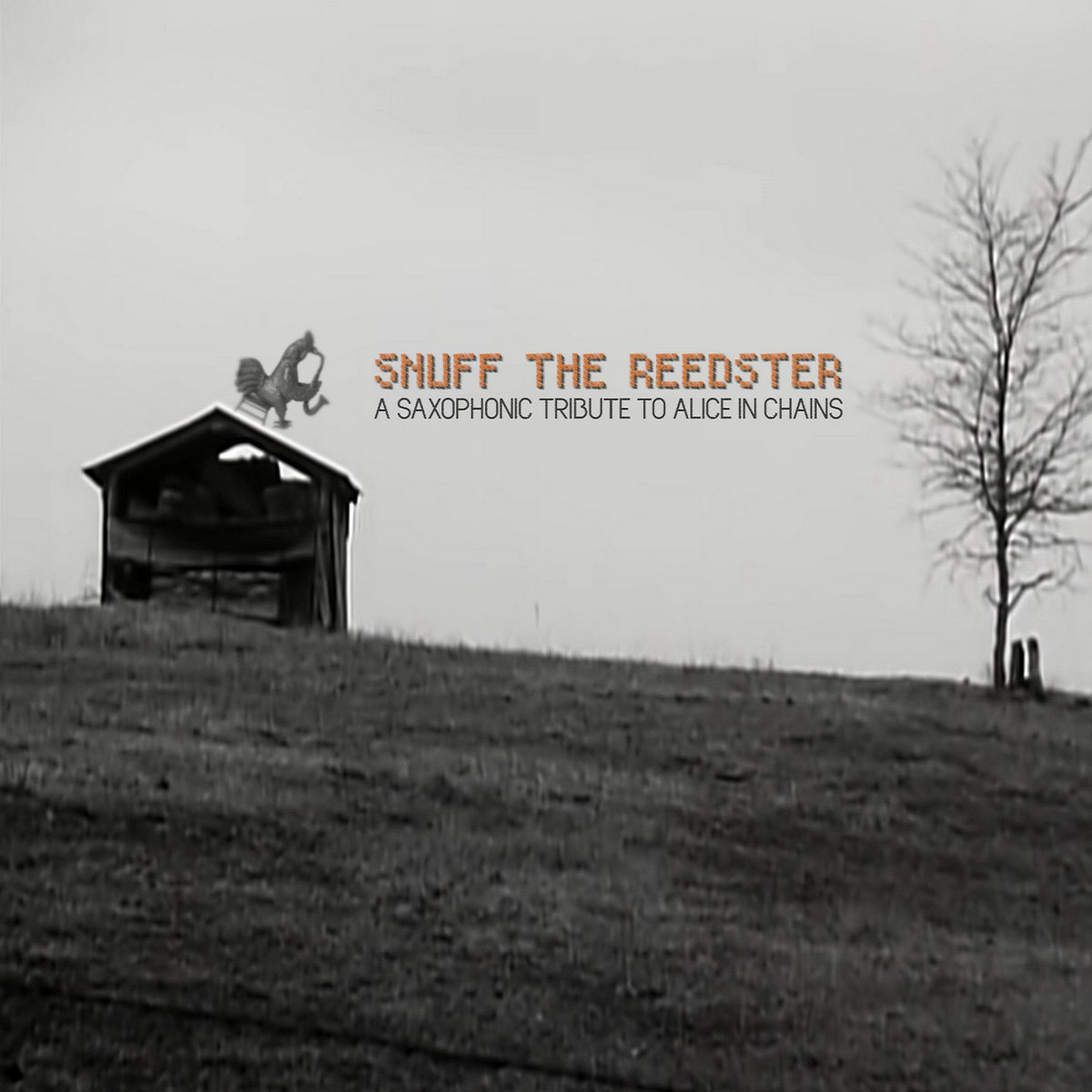 SNUFF THE REEDSTER • A saxophonic tribute to Alice In Chains Various