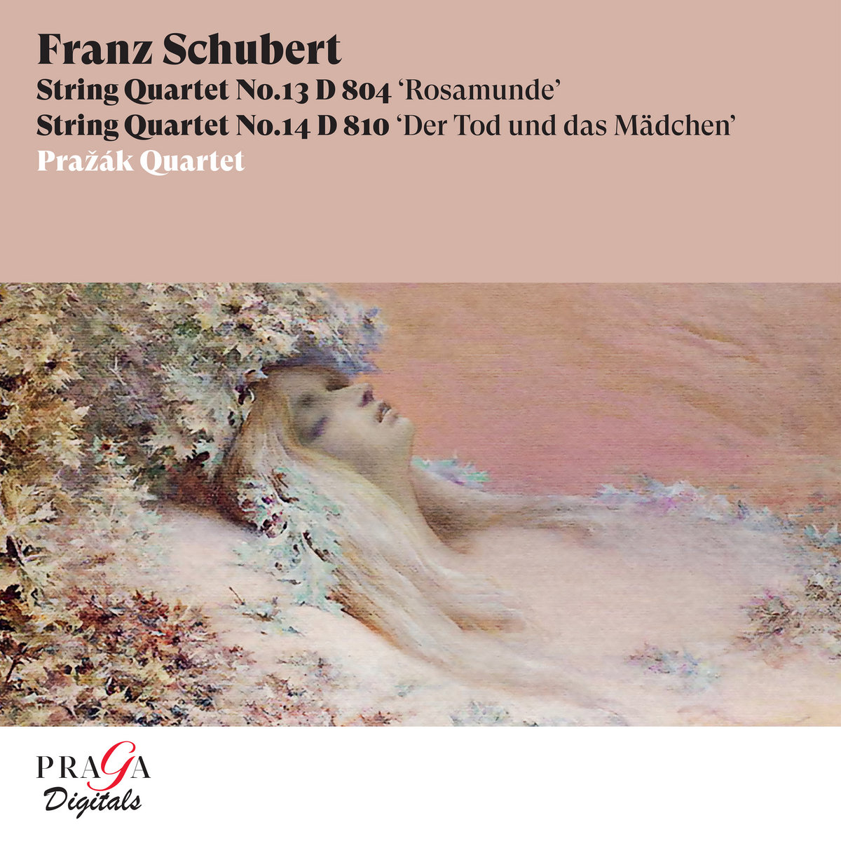 Franz Schubert String Quartet No. 13 ‘Rosamunde’, String Quartet No