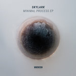 DISLTD071 - Minimal Process EP