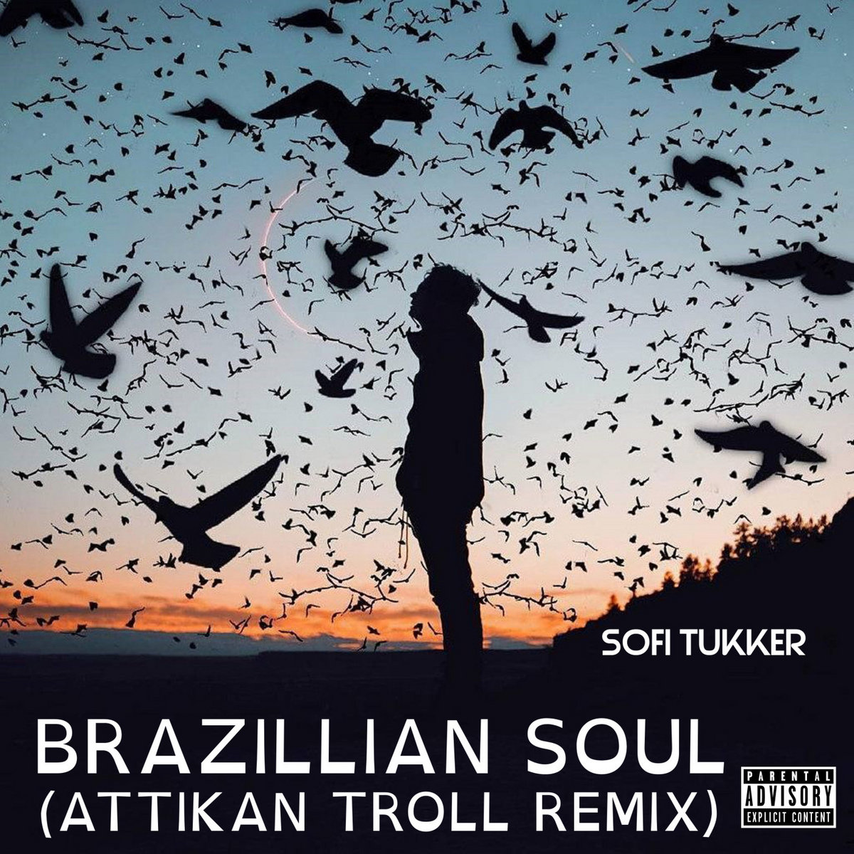 Sofi Tukker - Brazilian Soul (Attikan Troll Remix) | Sofi Tukker