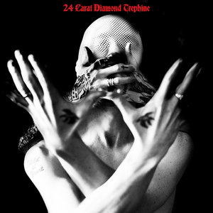24 Carat Diamond Trephine cover