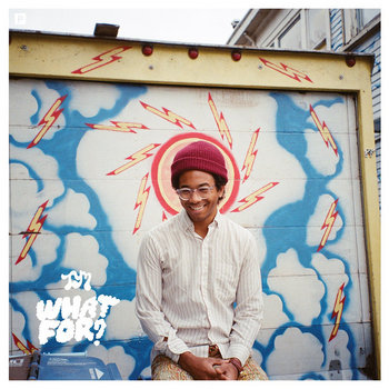 Toro y Moi Live from Trona 2LP トロ•イ•モア trona_cover_1200x1200.jpg?v=