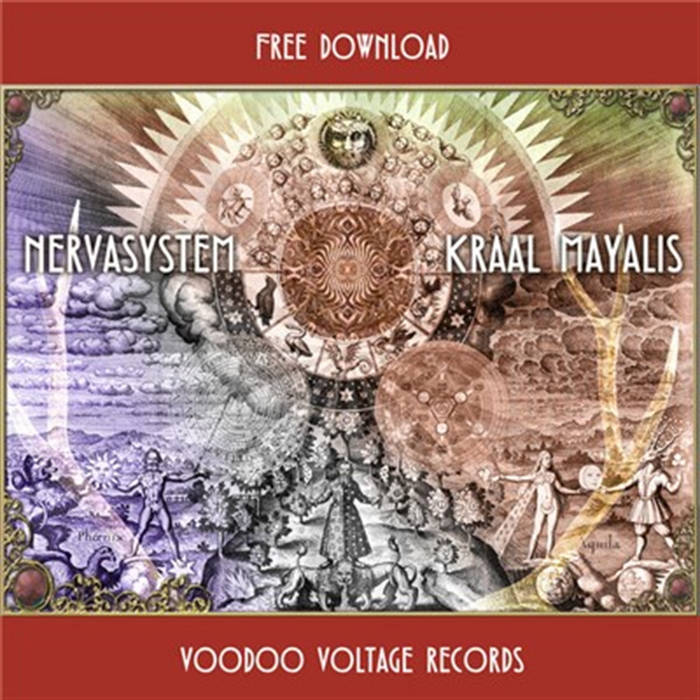 Kraal Mayalis | Nervasystem