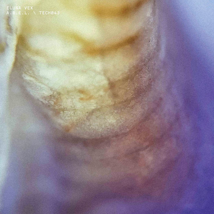 Pochette de TECH043 par Eluna Vex, A.B.E.L.