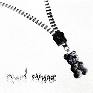 Zipper cover