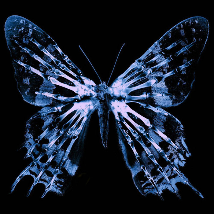 kein 朦朧の実 DEAD MAN subliminal effect Deadman – Subliminal Effect – CD (Maxi-Single), 2001 [r3496836