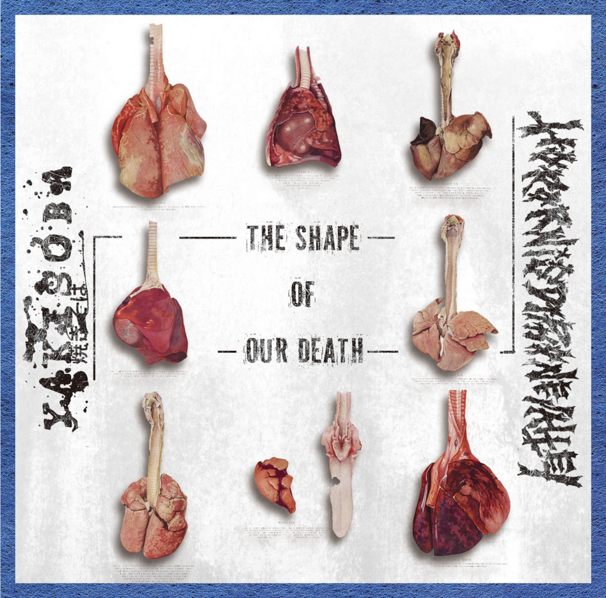 Death Shape The Shape Of Our Death | Acid Redux Productions