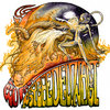 Psychedelonaut