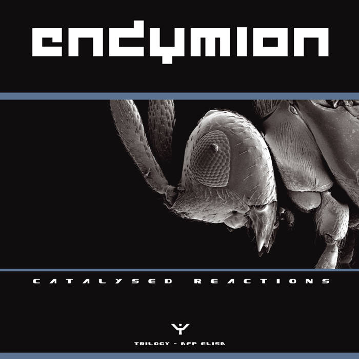 Catalysed reactions (Part 1) | Endymion | Enzymerecords