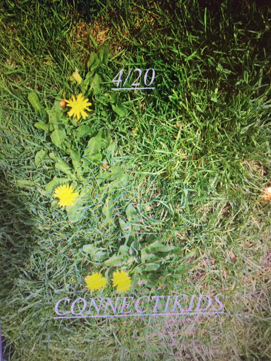 4/20 connectikids ollie ollie oxen free