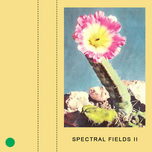 Spectral Fields IISpectral Fields cover