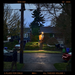 A Place for Owls — All Thieves, Vol. 1A Place For Owls and All Thieves