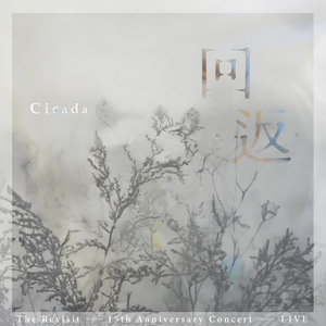 The Revisit: 15th Anniversary Live at Cloud Gate Theater cover