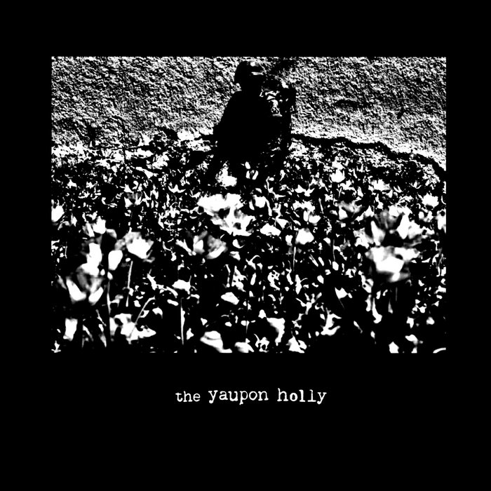 Pochette de The Yaupon Holly S/T par The Yaupon Holly