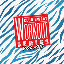 Various Artists — Workout Series Vol. 25