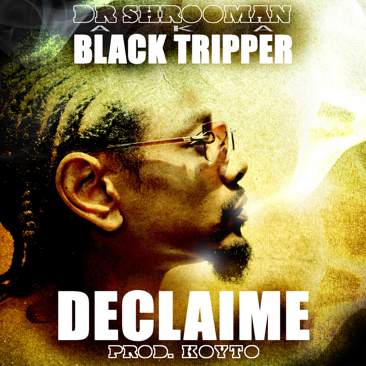Resultado de imagen para Declaime - Dr. Shrooman Aka Black Tripper