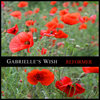 Reformer (Album)