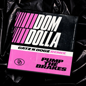 Pump The Brakes (Catz 'n Dogz Remix) cover