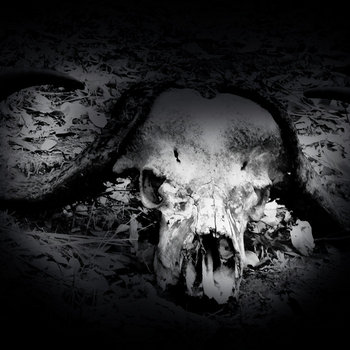 Music | Temple of Worms