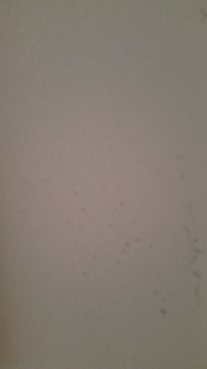 Bip Bip Bip Bip Bip Bip Rest 30 Records