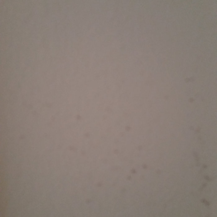 Bip Bip Bip | Bip Bip Bip | REST 30 RECORDS