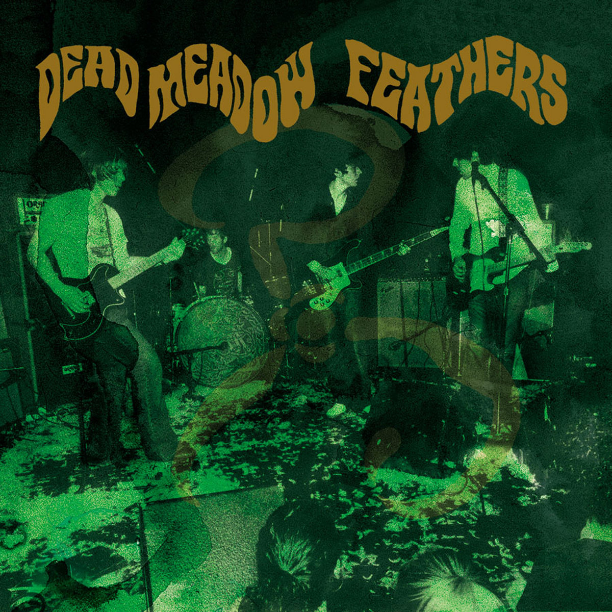 Feathers (20th Anniversary Edition) | Dead Meadow