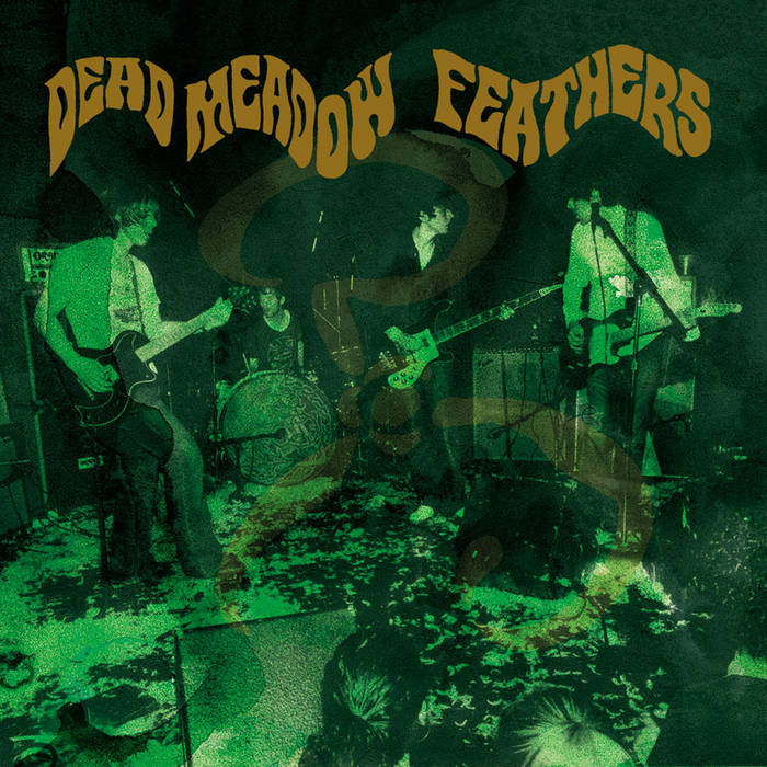 Feathers (20th Anniversary Edition) | Dead Meadow