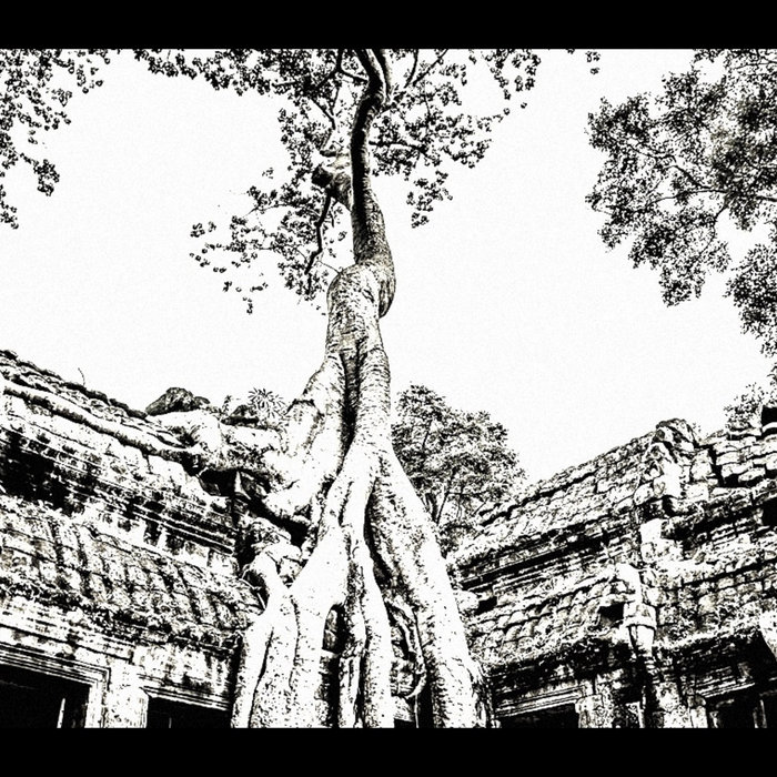 Disinter | The Ancient Stone