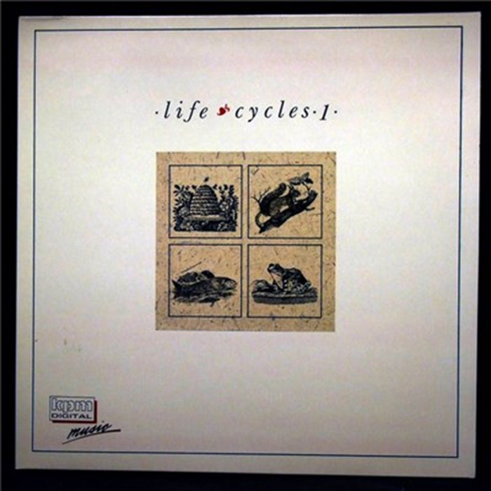 Life Cycles Part 2 | Richard Harvey (2)