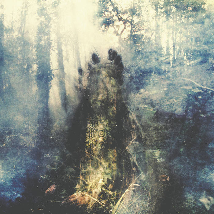 Reviews: Sylvaine – Wistful Reviews: Sylvaine – Wistful