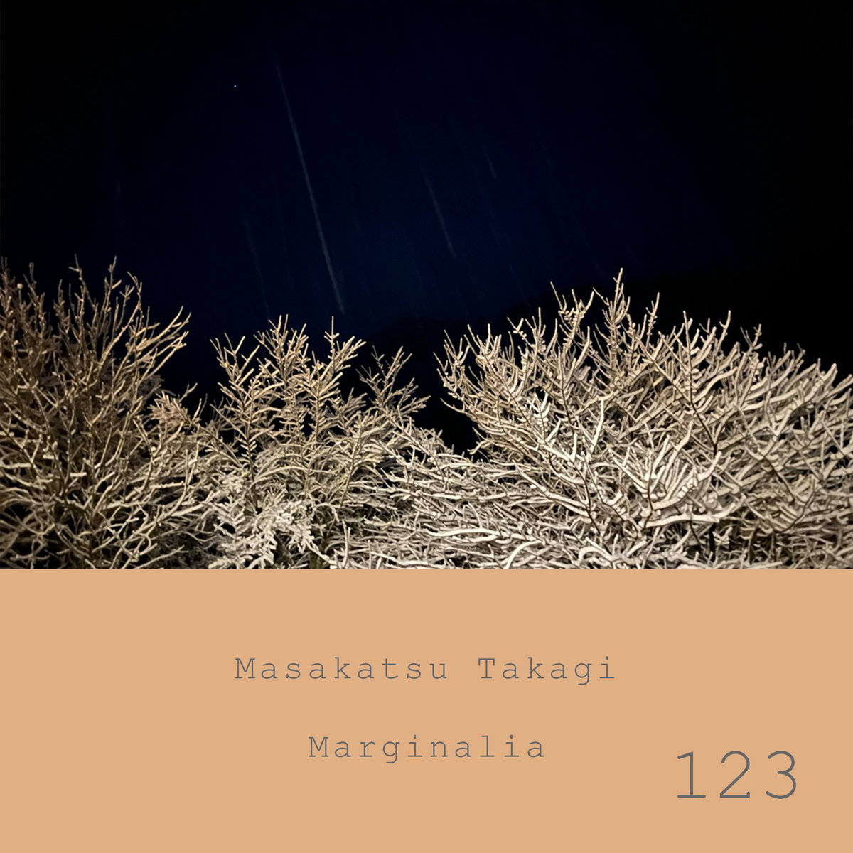 Marginalia #123 | Masakatsu Takagi