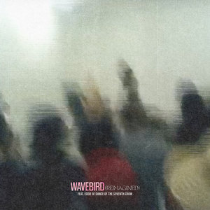 Wavebird (Reimagined) (Feat. Eddie of Dance Of The Seventh Crow) cover