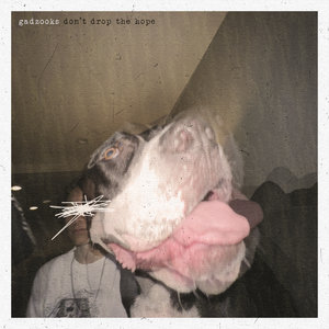 Don't Drop the Hope cover