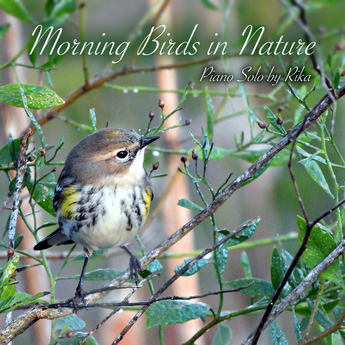 Morning Birds in Nature cover art