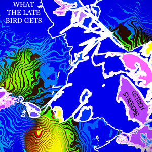 What the Late Bird Gets cover