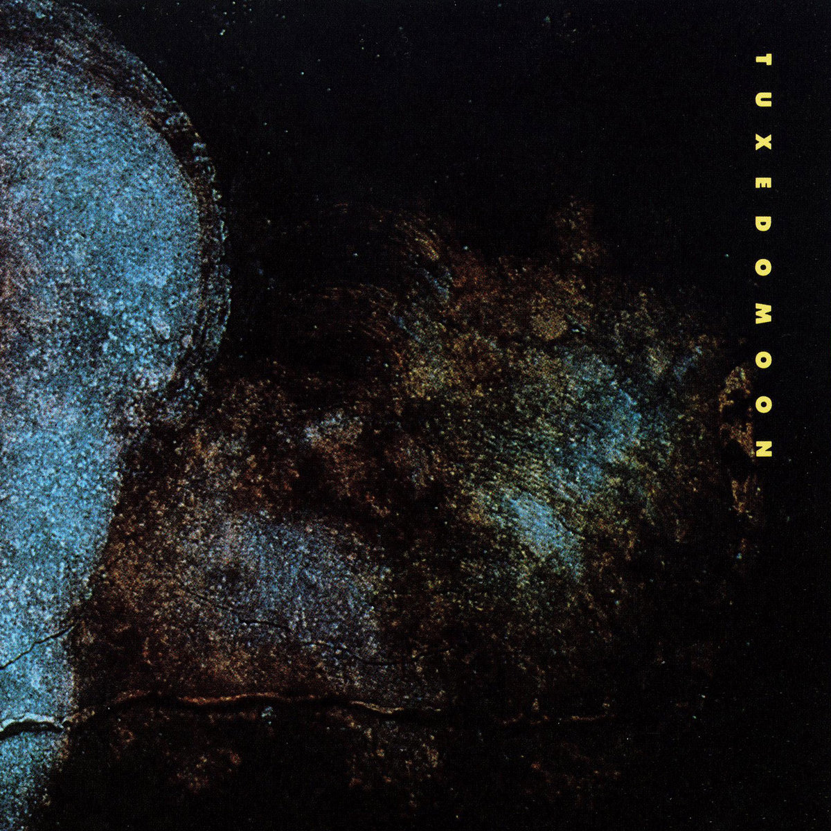 Pinheads On The Move | Tuxedomoon