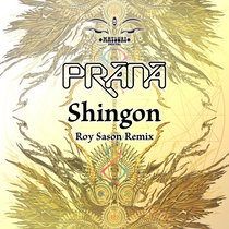 Prana - Shingon (Roy Sason Remix) cover art
