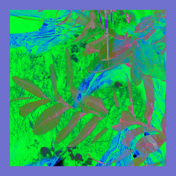 list image
