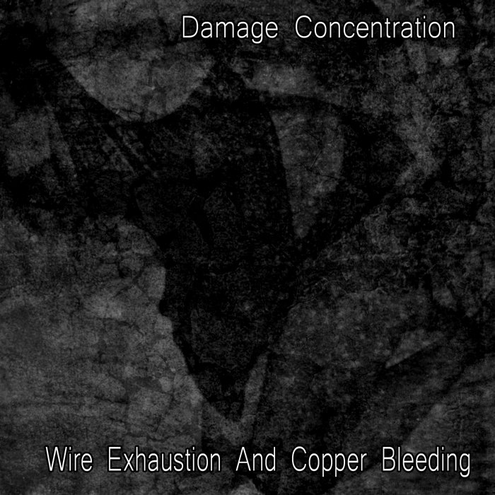 Wire Exhaustion And Copper Bleeding Damage Concentration Basement