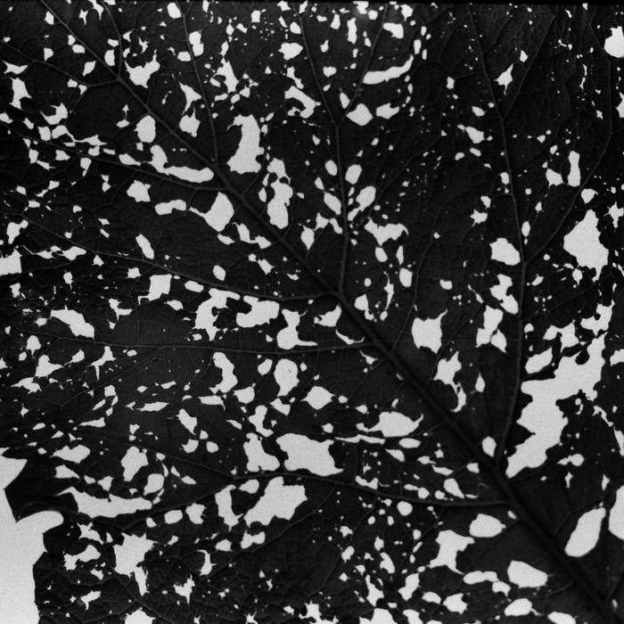 Substak – Archive 1
