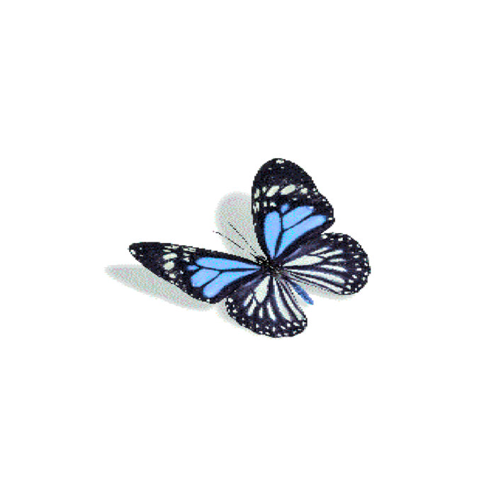 蝶の樹　Butterfly Tree #004 61WbkEITsyL._QL92_SH45_SS200_.jpg