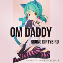 Riding Dirtybird (Original Mix) cover art