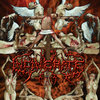 Dissecting The Angels