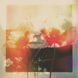 Akin / Mother cover
