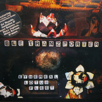 洋楽 Combat Wombat - Unsound System 2LP 洋楽 Combat Wombat - Unsound System 2LP Combat Wombat