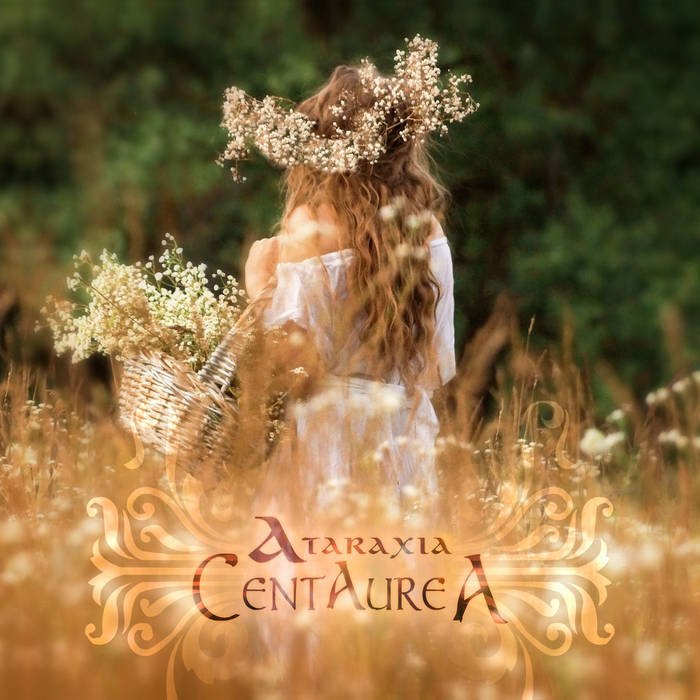 Centaurea, by Ataraxia